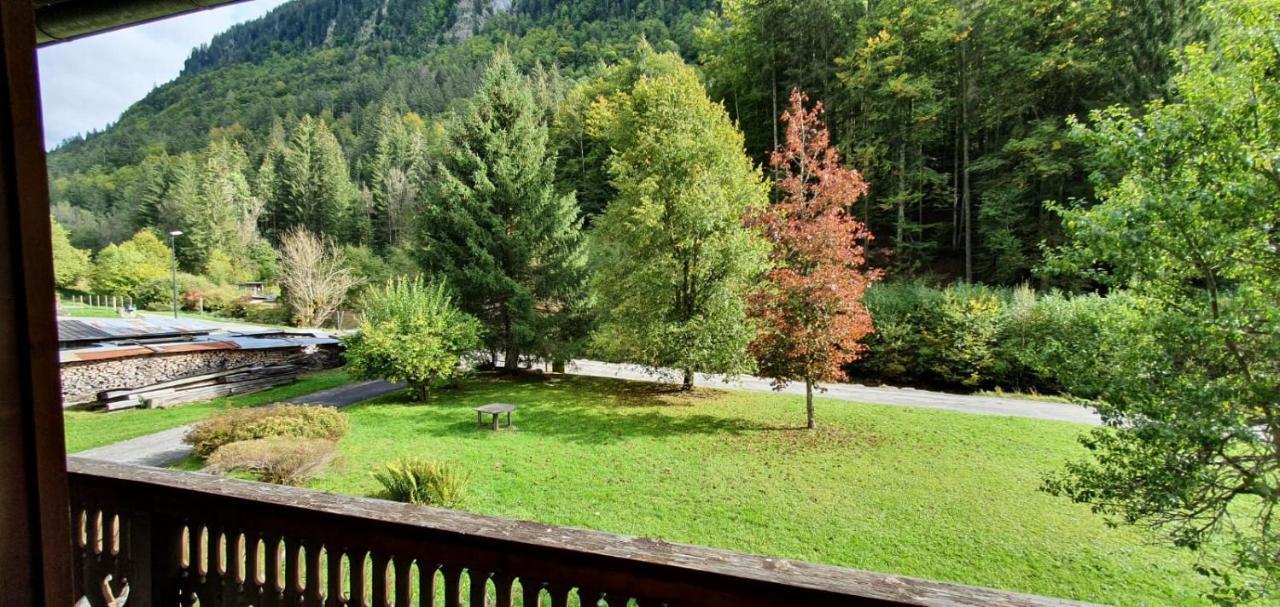 Appartement-3-Chambres-8-Couchages-Wifi-Montriond-Chebourins Exterior photo